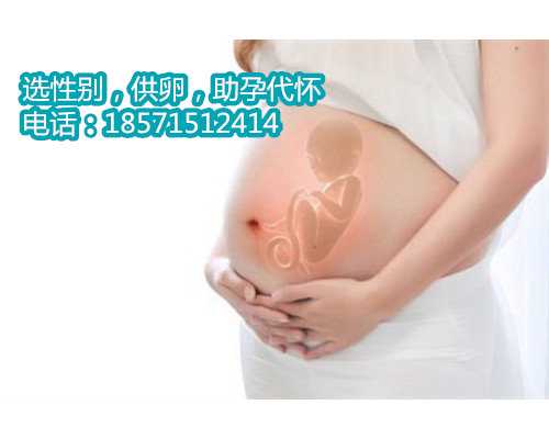 日本试管婴儿技术攻略：关注重点