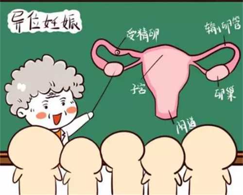 成都如何在北京试管助孕公司中找到最适合自己的合作伙伴,助您实现生育愿望
