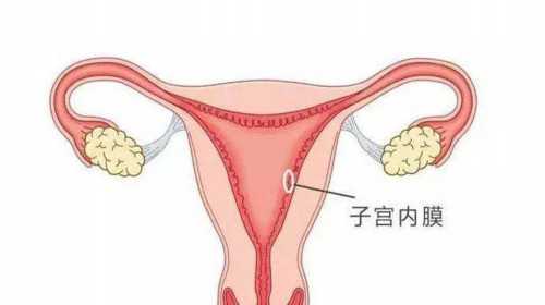 成都代生宝宝女孩，正规医院捐卵补偿,成都市锦江区妇幼保健院成都市锦江区