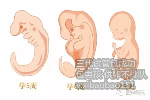 重庆哪里有借卵怀孕的机构,4夜针注射的两种方法